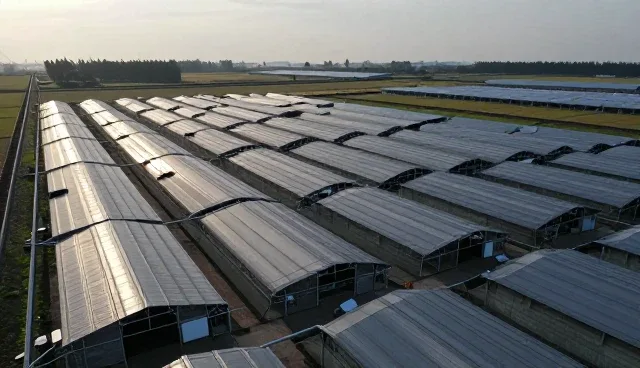 齿轮油常见问题处理方法与适用情况解析